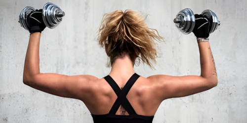 Renforcement Musculaire et Remise en Forme